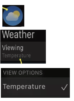Apple Watch Weather App with viewing options
