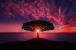 Meditation Music: Healing Music